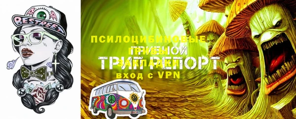дживик Балахна