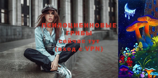 дживик Балахна