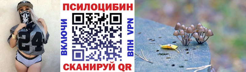 Псилоцибиновые грибы Cubensis Гдов